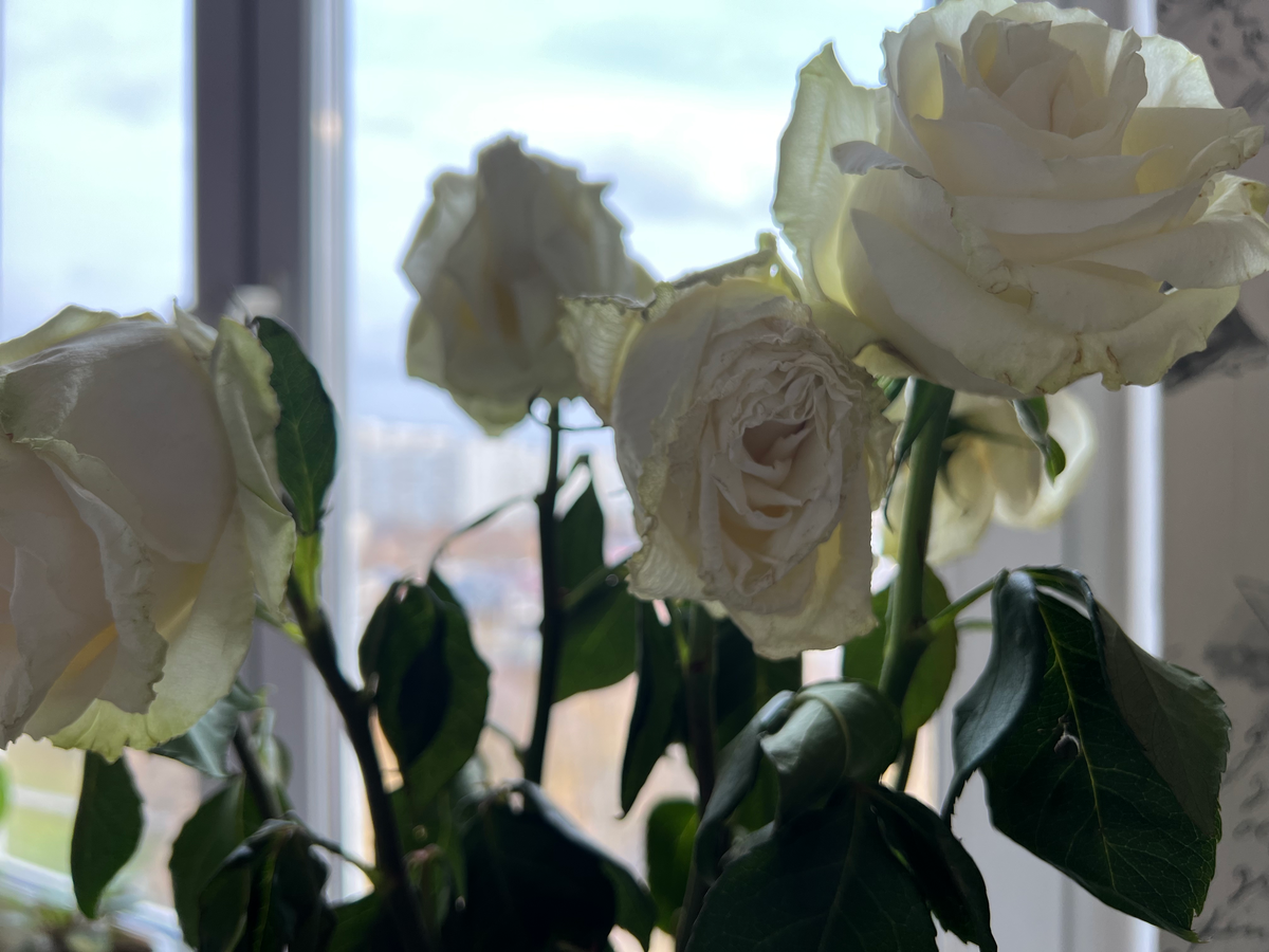 Хоть какой мужик, лишь бы был рядом!