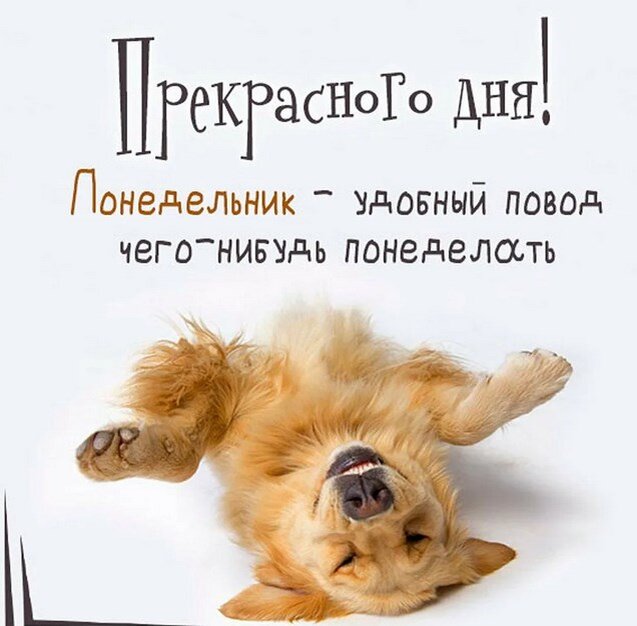 Фото из открытого источнка