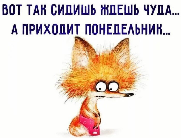 Фото из открытого источника