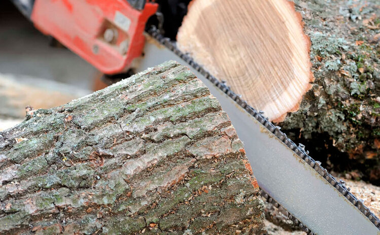 Фото из открытых источников.