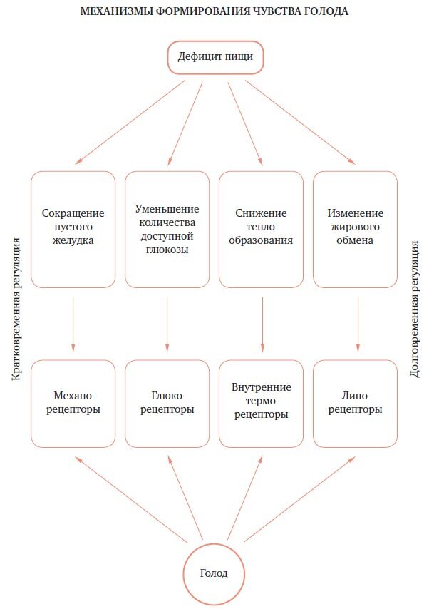 Тяга к сладкому и менструальный цикл