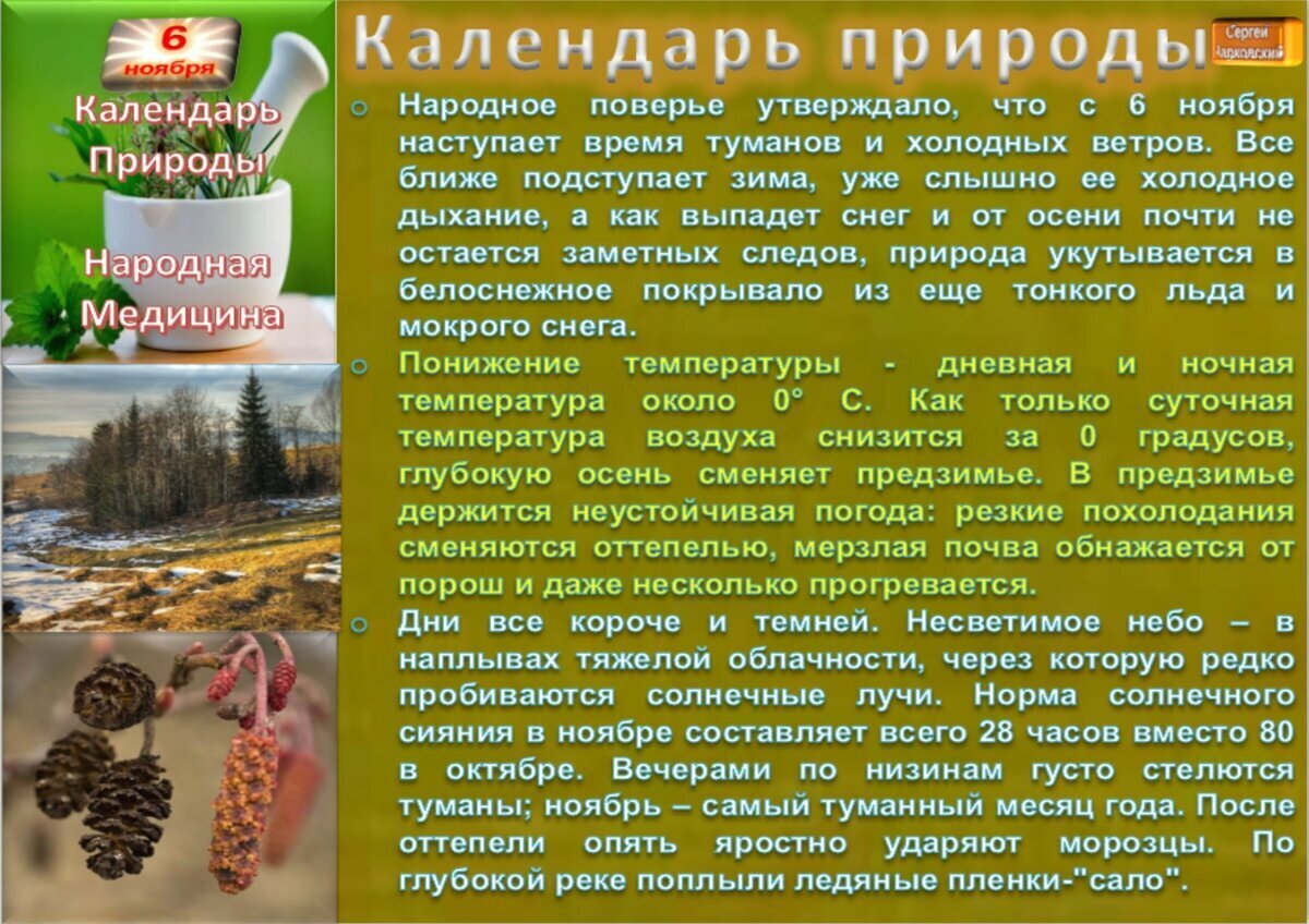 Приметы ноября. Народные приметы на 6 ноября. 6 Октября народные приметы. Народные приметы на 6 сентября 2021 года. 6 Ноября народный календарь день Арефы.