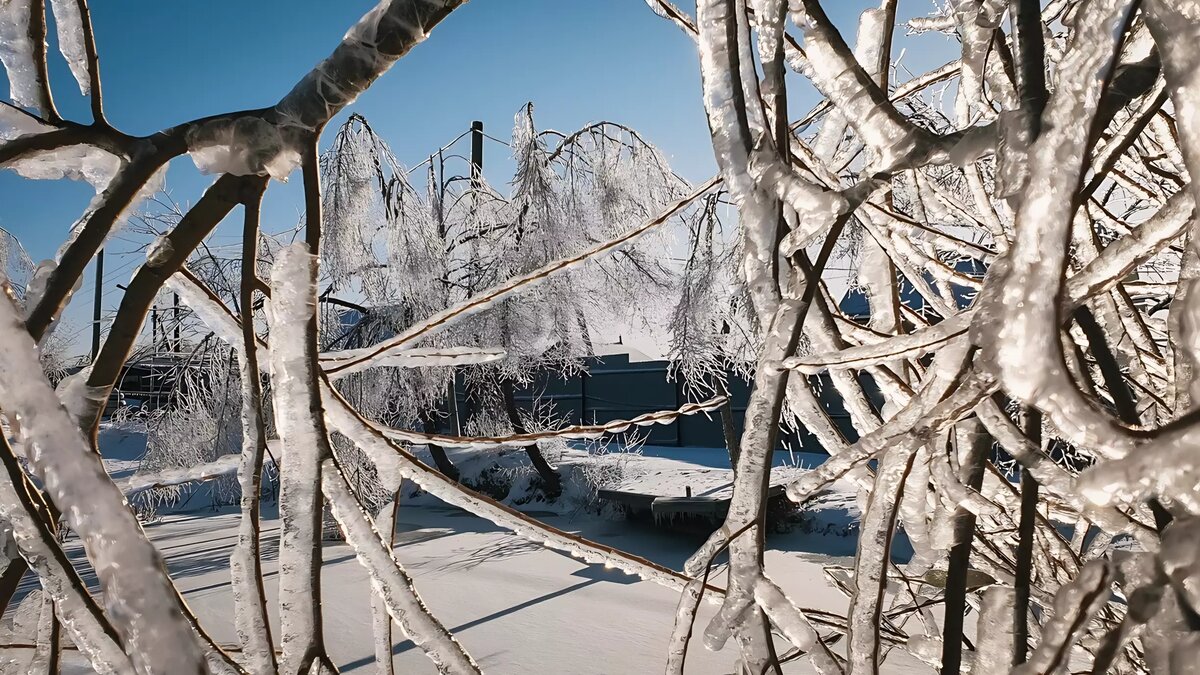     На севере Приморского края выпал ледяной дождь. Температура в северных районах ещё положительная, но уже начало сказываться наличие серьёзных осадков в крае.