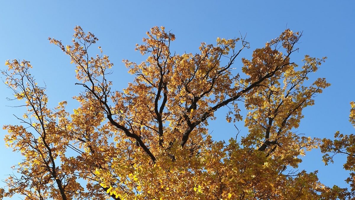    Фото: unsplash.com. Август Макаров