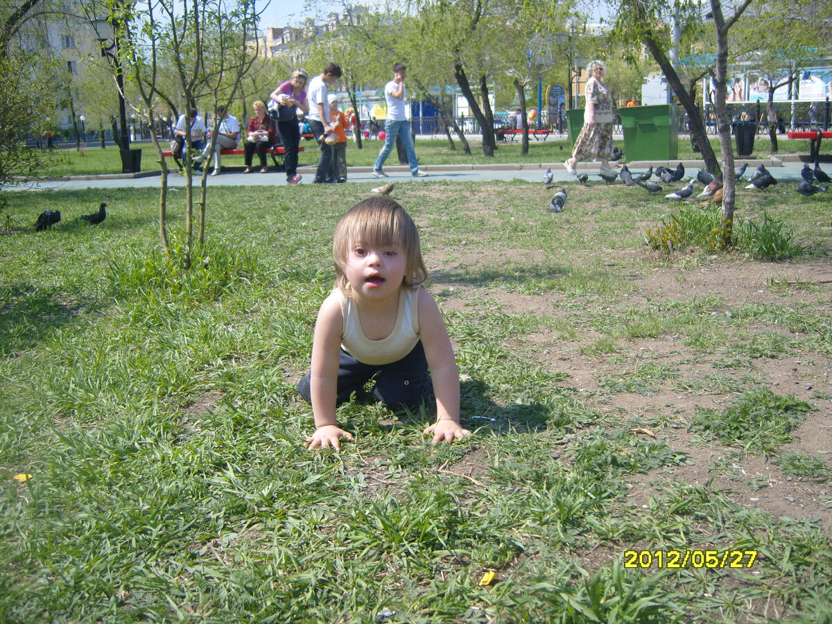 ползком от голубей