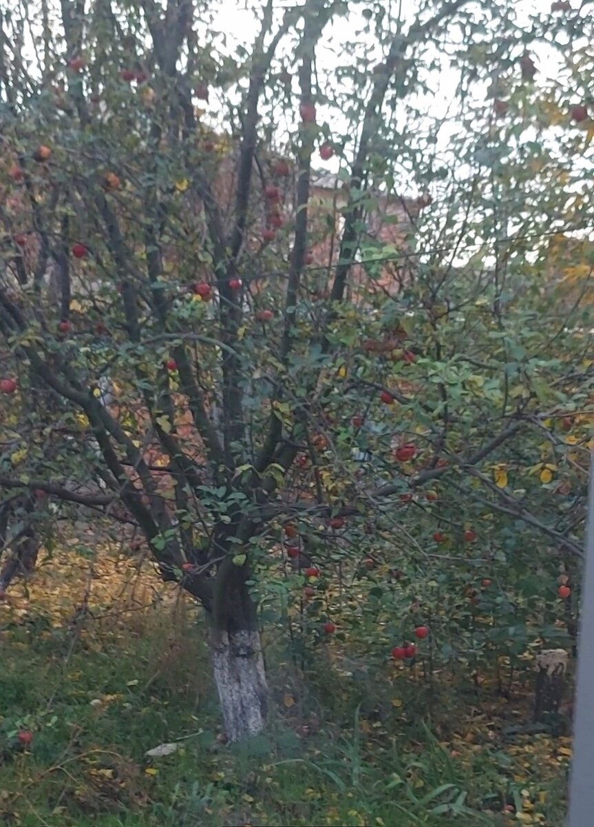 Фото автора.