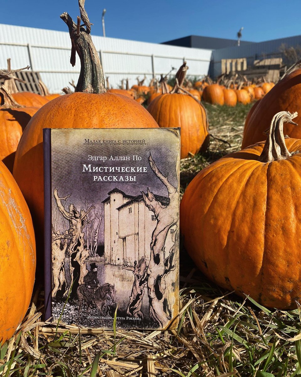 Instagram* - @booksband (*Meta Platforms Inc. признана экстремистской организацией на территории РФ)