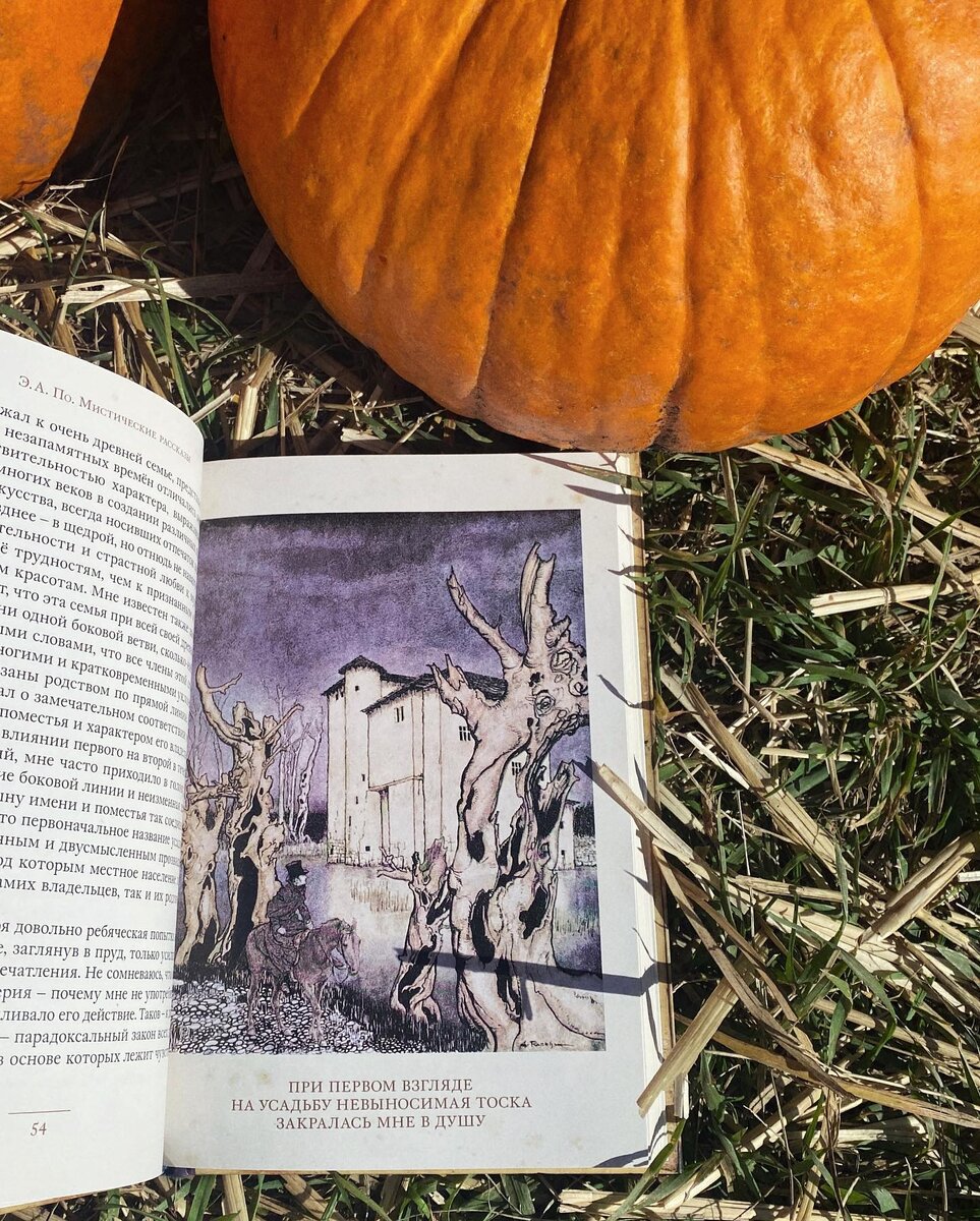 Instagram* - @booksband (*Meta Platforms Inc. признана экстремистской организацией на территории РФ)