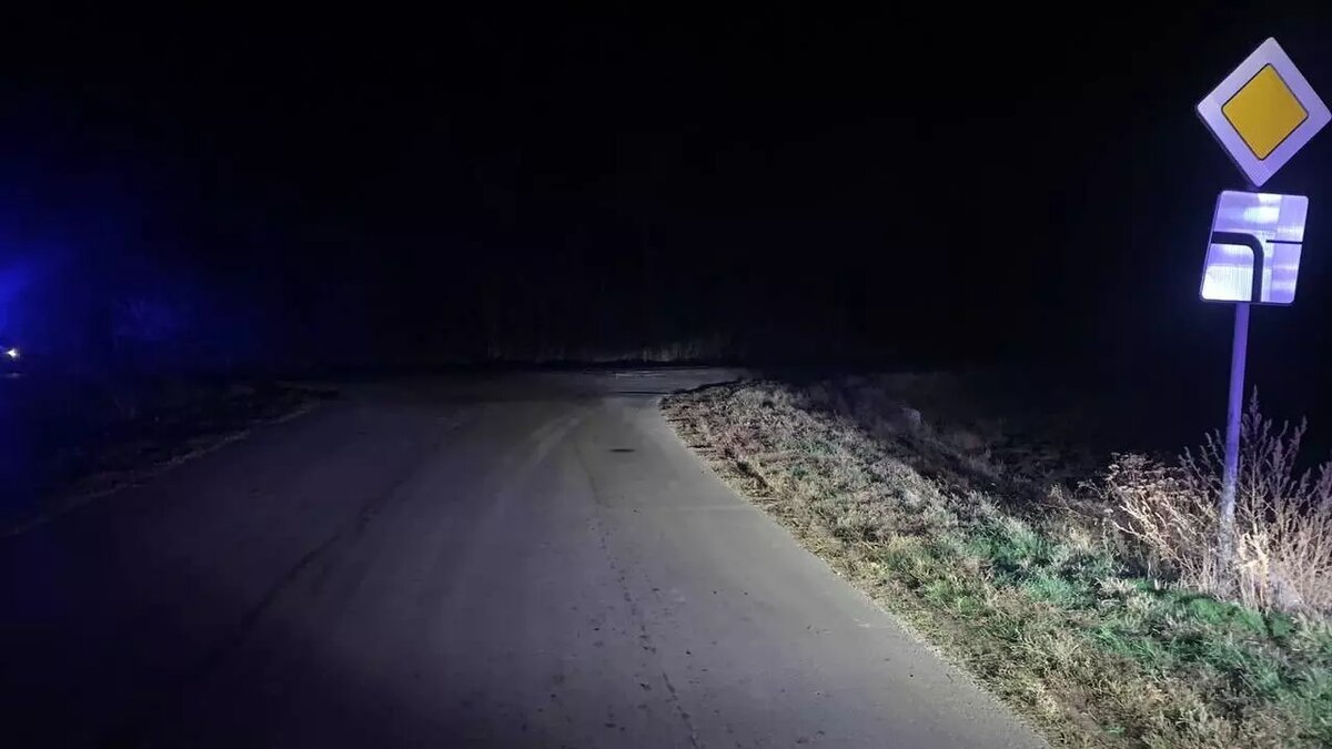     ДТП произошло на трассе в Ростовской области, двое детей госпитализированы, сообщили в ГИБДД региона.