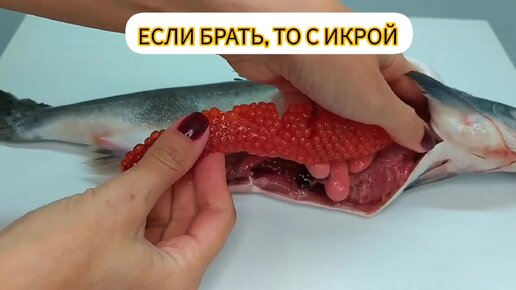 Рыбу жарю и солю! А ещё беру только с икрой: рассказываю как неошибиться в выборе