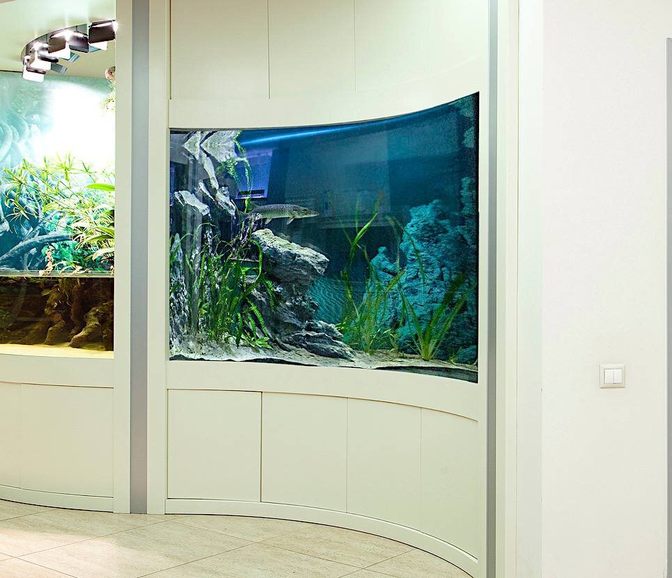 Экспериментальный дуговой вогнутый аквариум