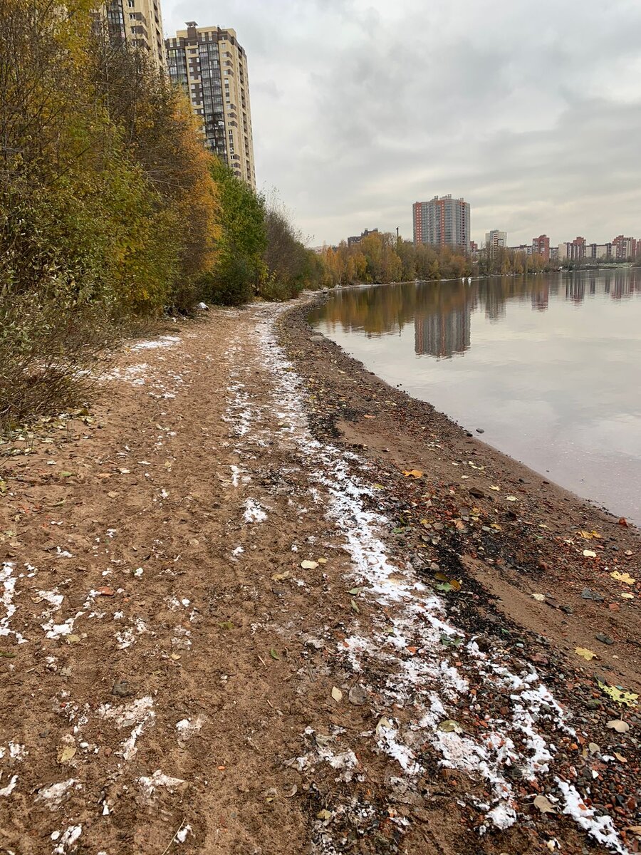 Берег Невы припорошило снежком 