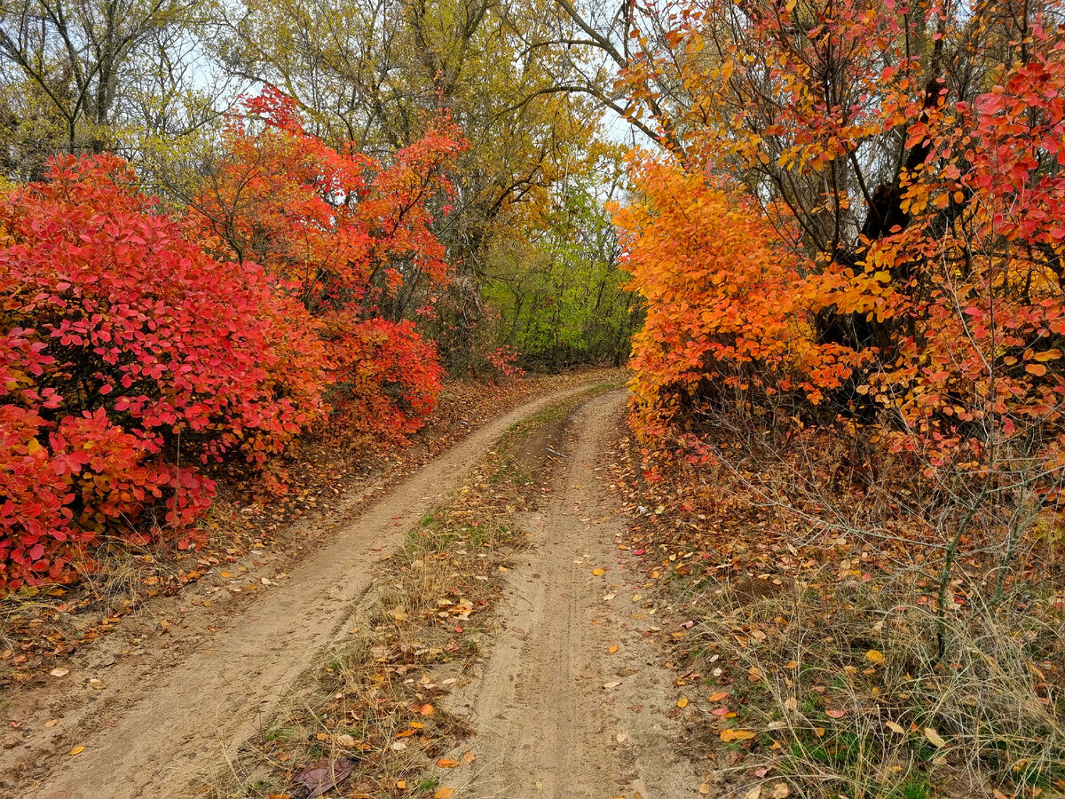 Фото автора.