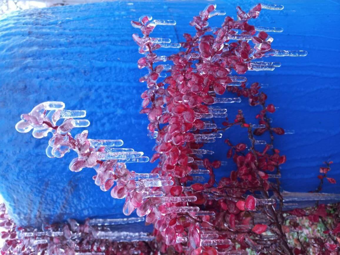 Фото: соцсети