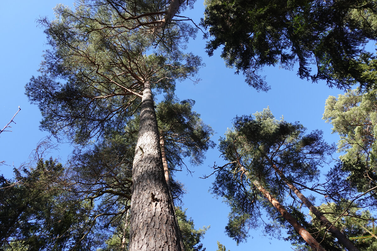Фото: Вилен Лупачик