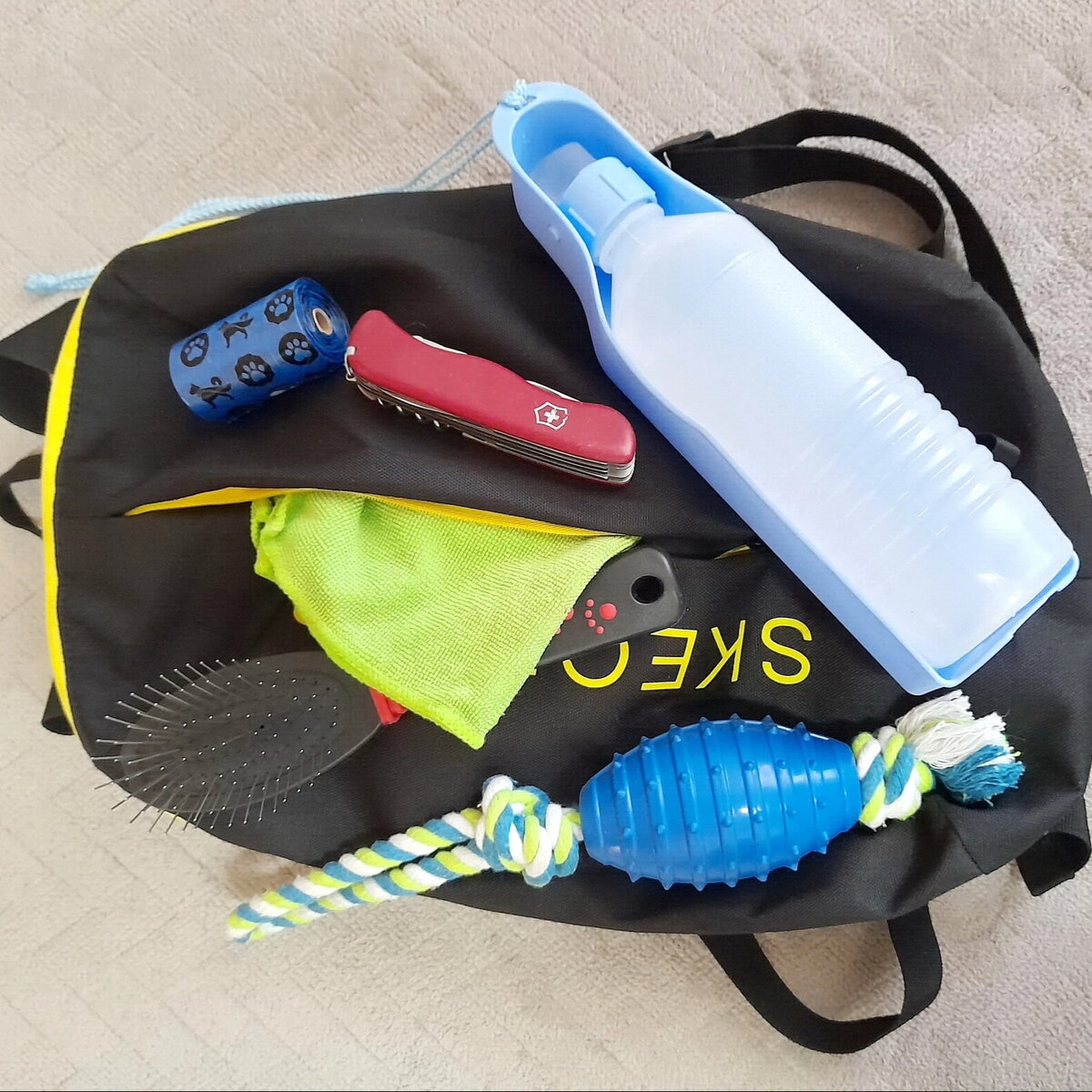 Малая часть предметов, лежащих в моем собачьем рюкзаке. Фото из личного архива