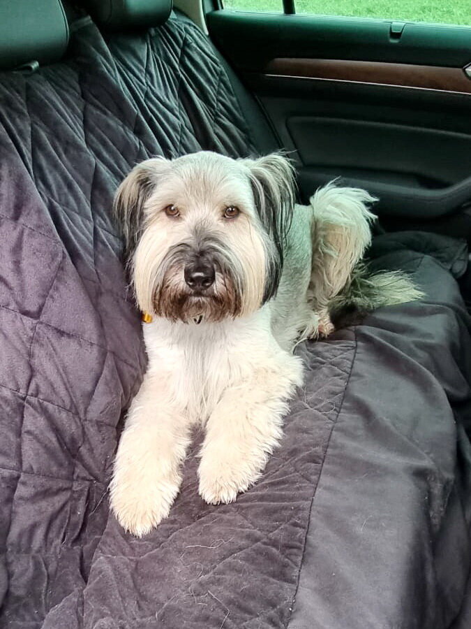 Гамак, используемый в качестве подстилки