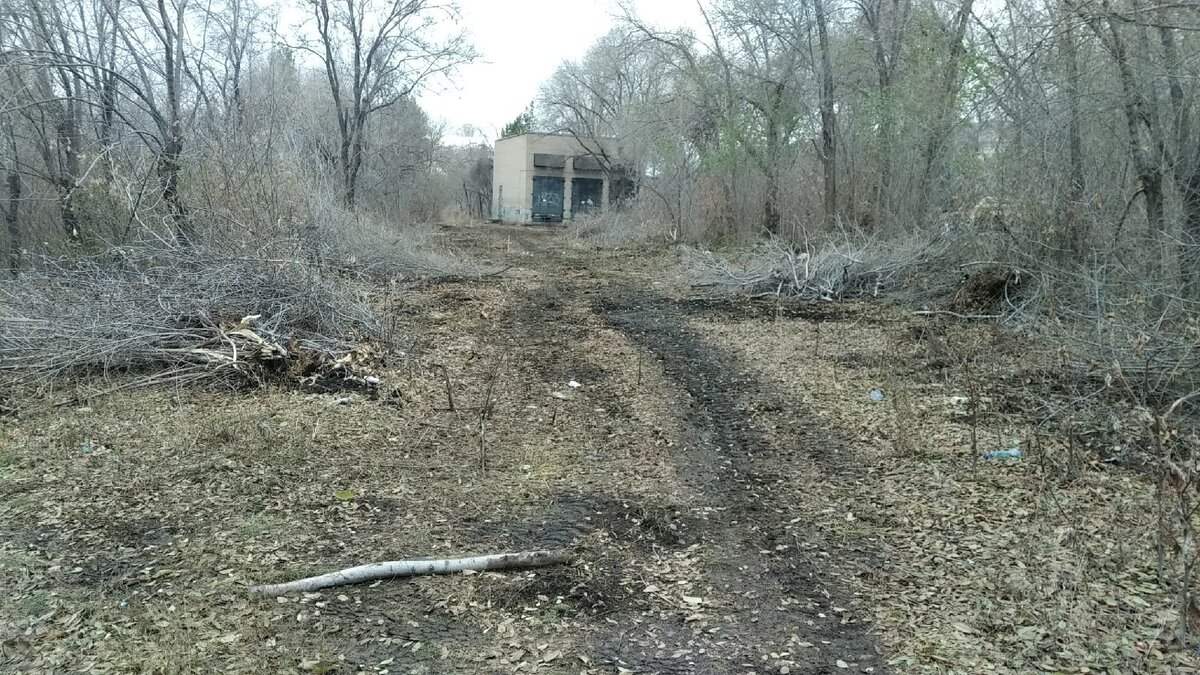 Фото из группы ВКонтакте https://vk.com/club199346501