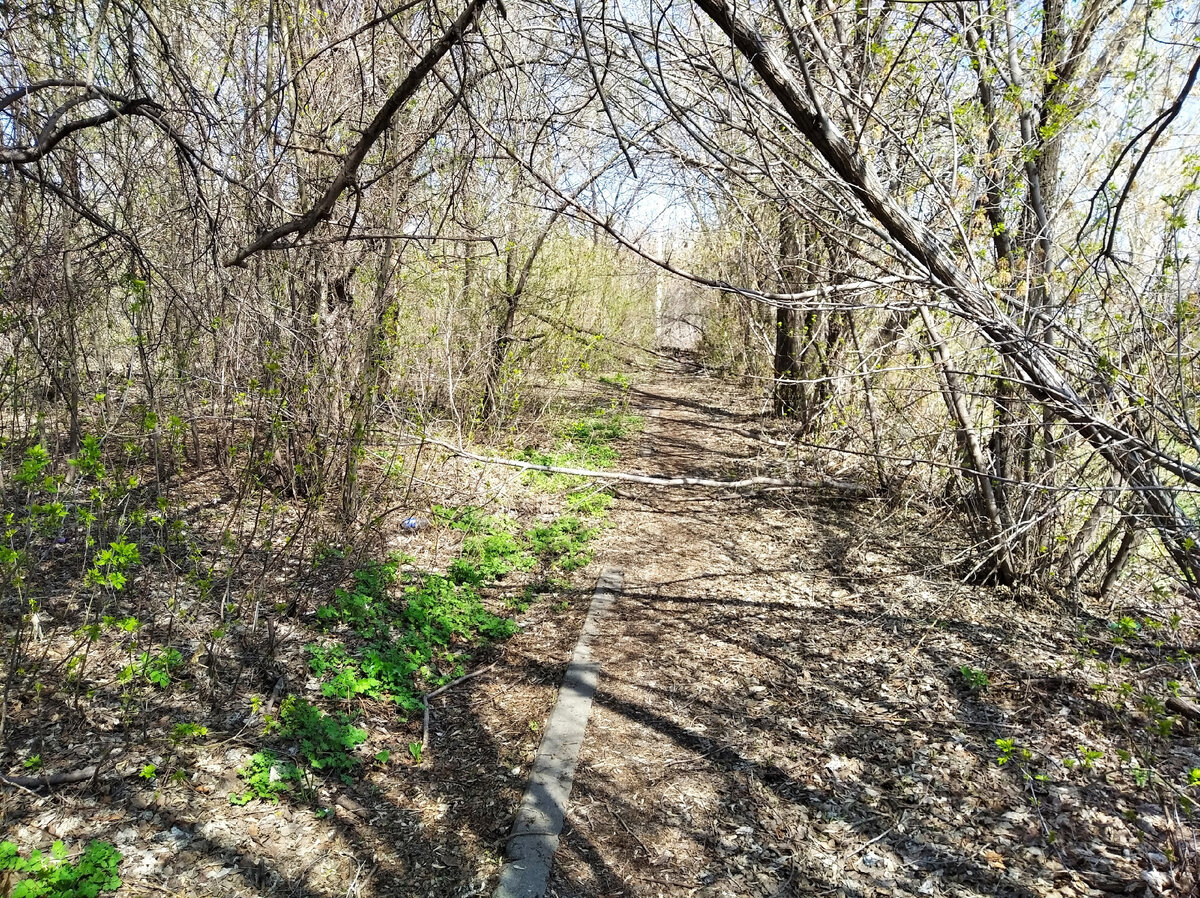 Фото из группы ВКонтакте https://vk.com/club199346501