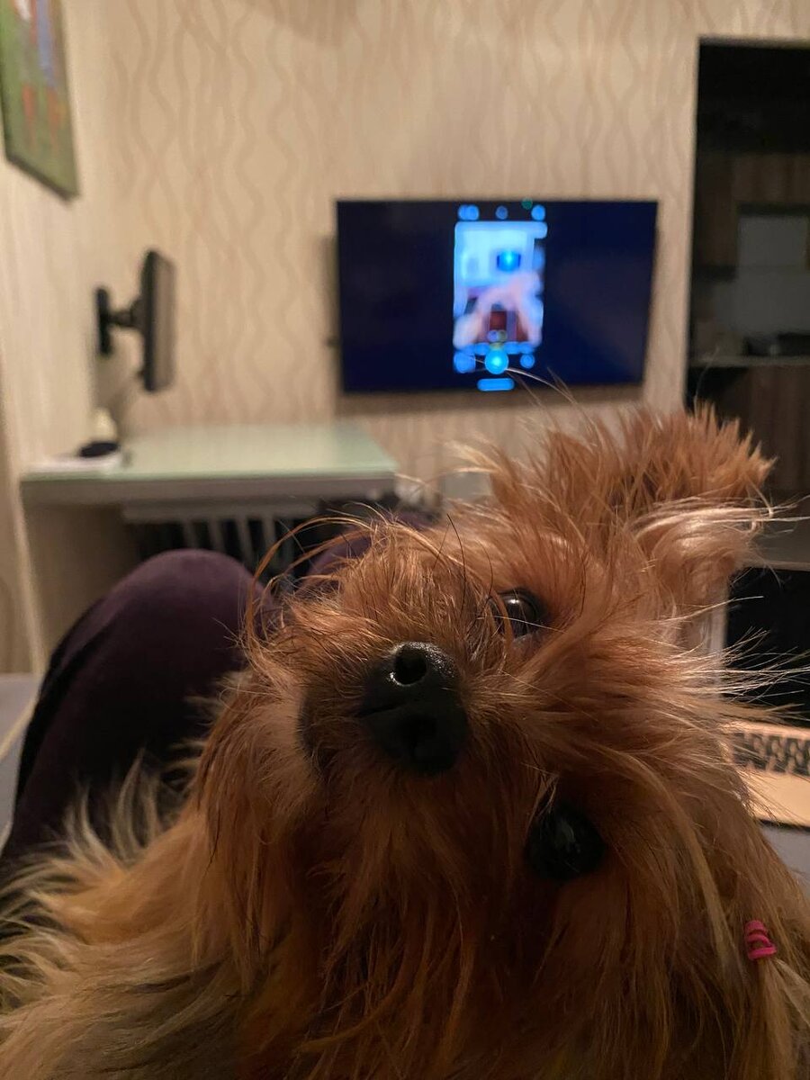 Жизнь в деревне бывает не только спокойной, но и опасной.