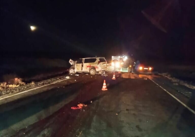    Погибли 14 лошадей. Стали известны подробности ДТП с «Ленд Крузер» у Новоорска Белов Михаил Александрович