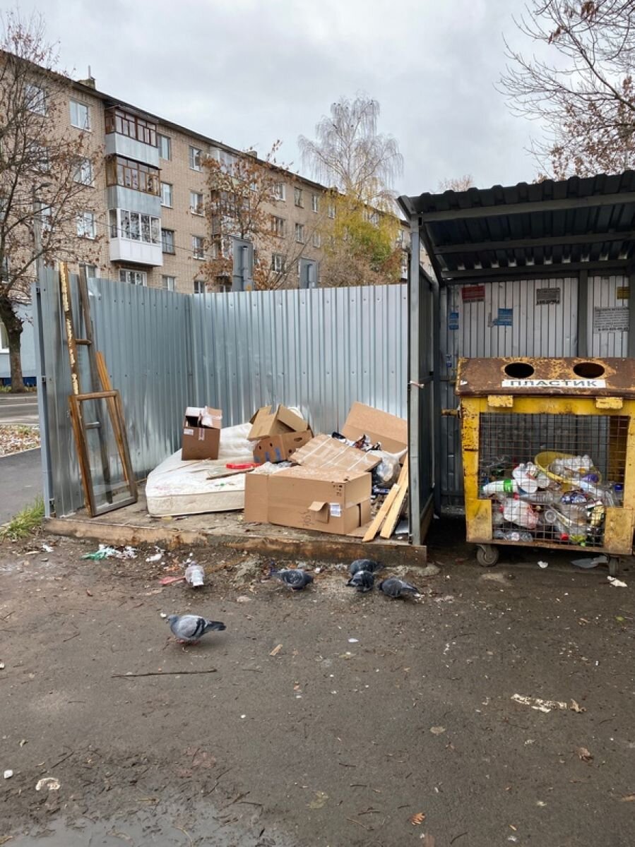 Жители Иванова негодуют: мусор в городе не вывозят | «Ивановские новости» |  Дзен