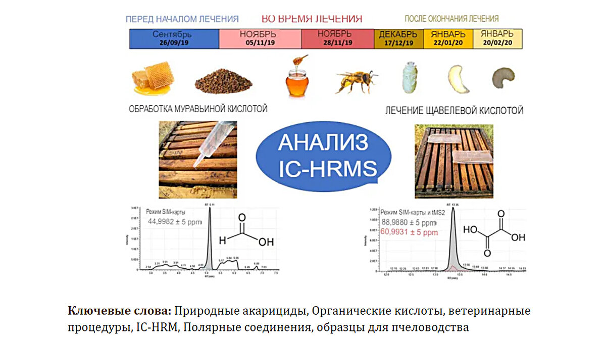 источник картинки: ncbi.nlm.nih.gov