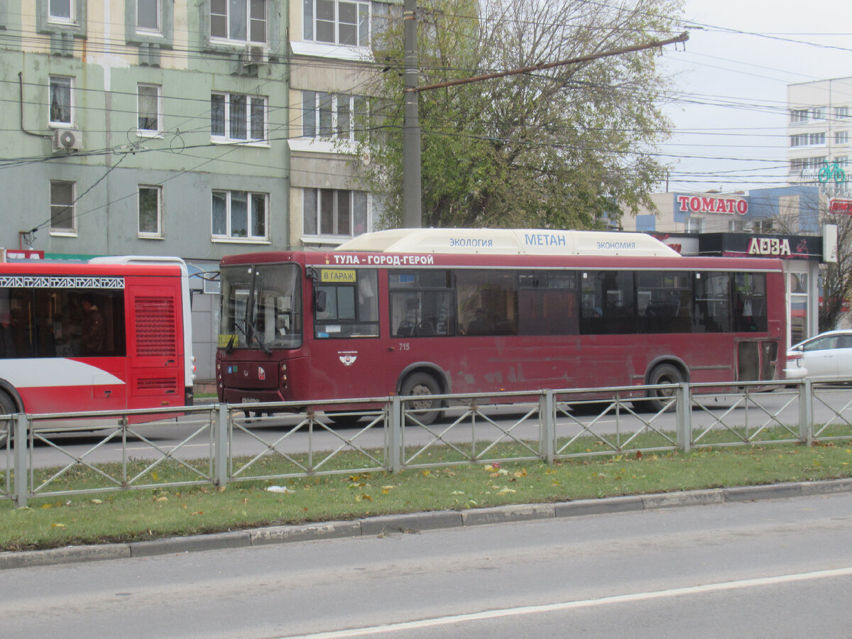 Тульские автобусы и троллейбусы октября 2023 года | ПАНТОГРАФ | Дзен