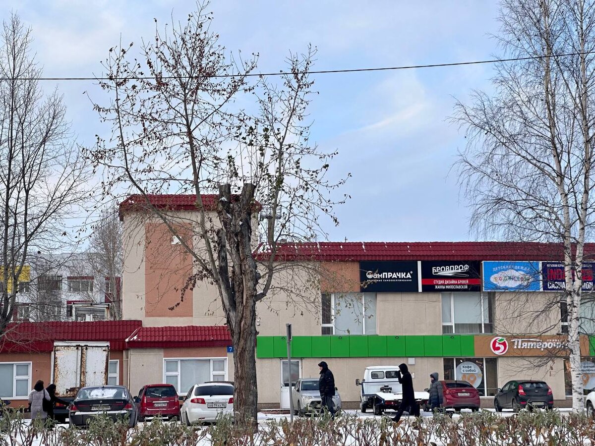    В Сургуте массово обрезают тополя