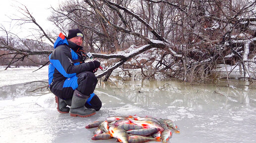 Зимняя рыбалка на окуня — видео интересные, прикольные, удивительные