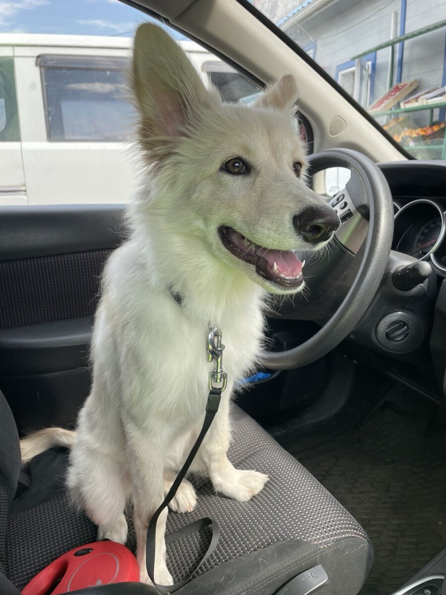 Луне тут около 5-6 месяцев😍