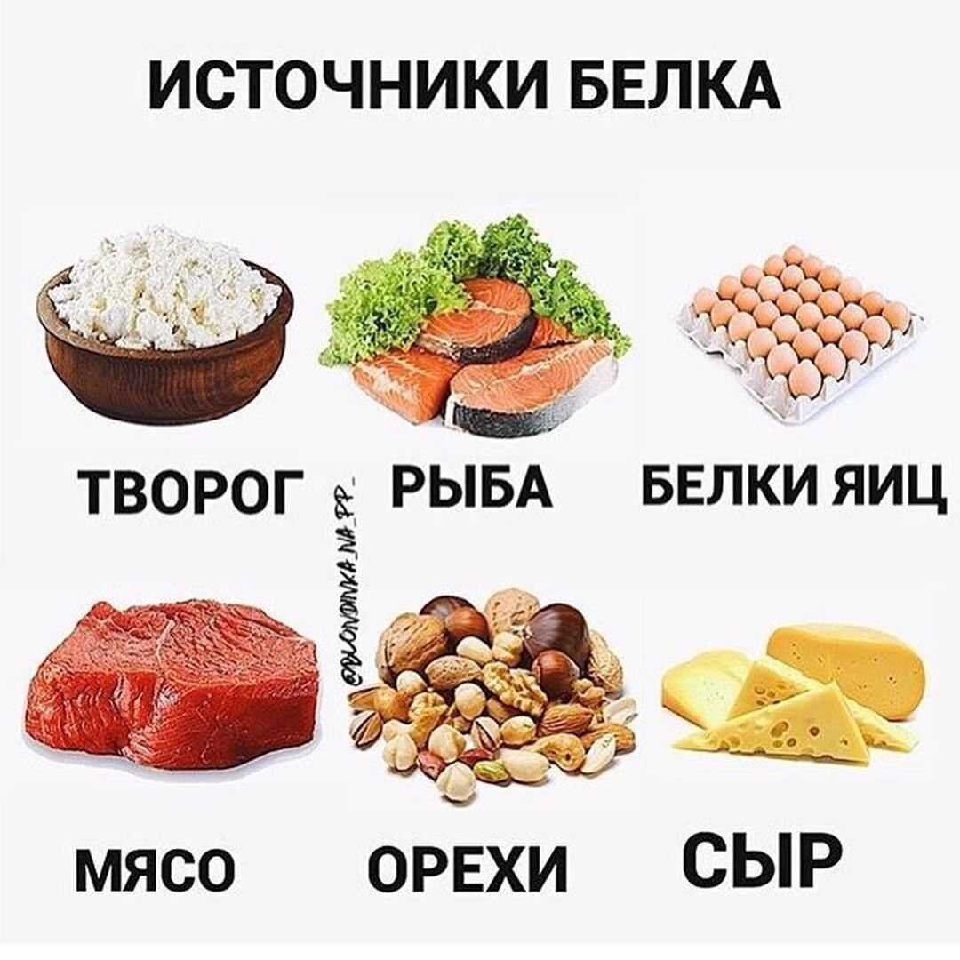 Кроме мяса. Источники белка в продуктах. Источники белка в питании. Белки продукты. Лучшие источники белка.