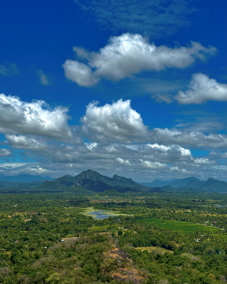 Вот такие прекрасные виды...