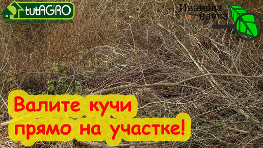 ВАЛИТЕ КУЧИ ПО ВСЕМУ УЧАСТКУ! Не жгите срезанные ветки! Вот куда их надо применить.