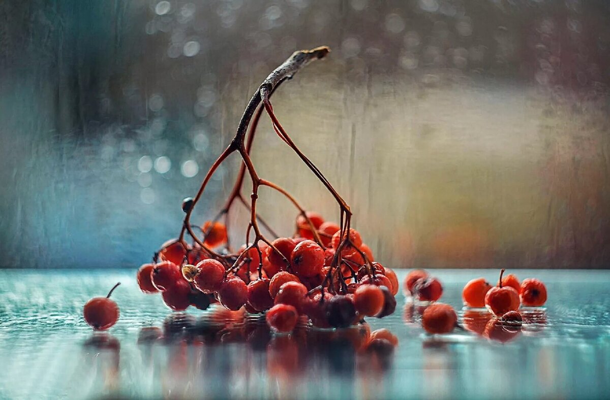 Фото novyefoto.ru