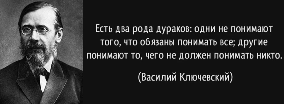 Что в обществе считает хорошо. История ничему не учит а только наказывает за незнание уроков. Высказывания о дураках. История не учительница а надзирательница Ключевский. Достойный человек.