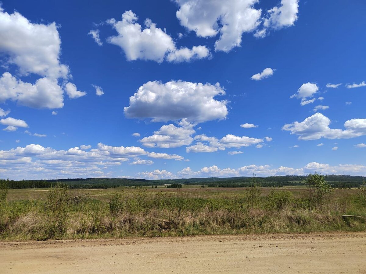 Фото Татьяна Аршинская 