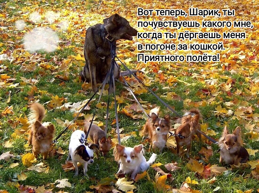 Фото из интернета, в обработке автора. 