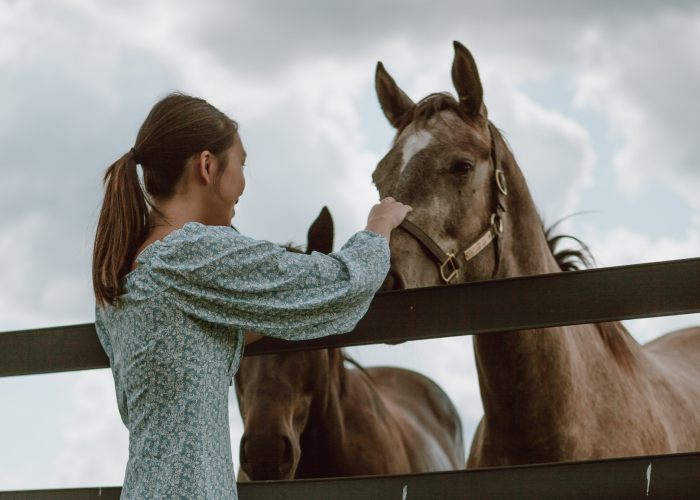 Фотограф: jasmin chew: https://www.pexels.com/ru-ru/photo/5177537/