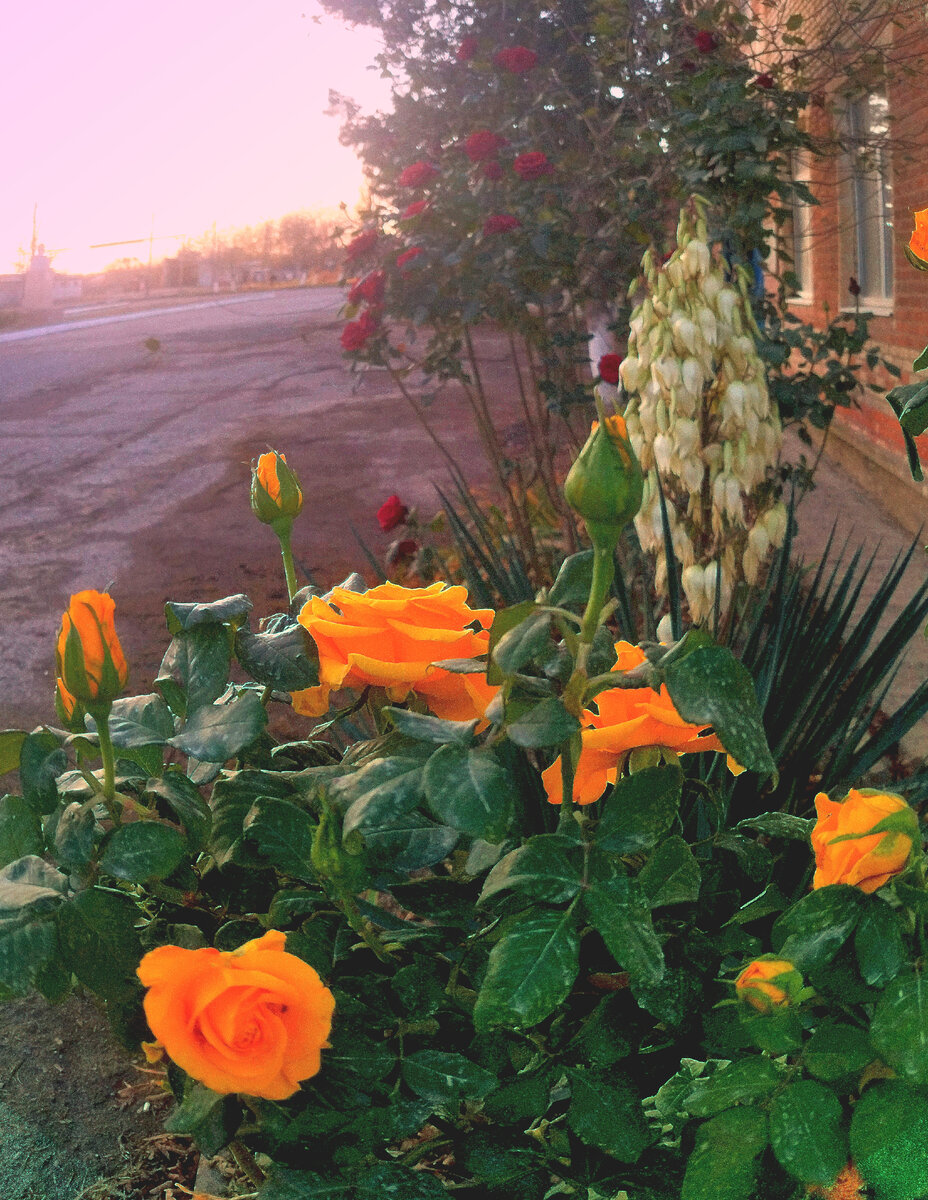 6 ноября 2023. Территория завода КЗПМ.