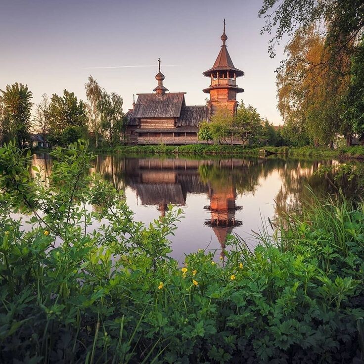 Картинка найдена на просторах интернета, ссылка https://yandex.ru/images/search?from=tabbar&img_url=https%3A%2Fi%2F.pinimg.com%2Foriginals%2Fa8%2F34%2Fа3f%2Fa83р43f851с2879b5e7bd53274cf0591a19.jpg&lr=47&pos=15&rpt=simage&text=%D1%86%D0%B2%D0%B5%D1%82%D1%8B%20%D0%BA%D1%80%D1%83%D0%BF%D0%BD%D0%BE%20%D1%84%D0%BE%D1%82%D0%BE