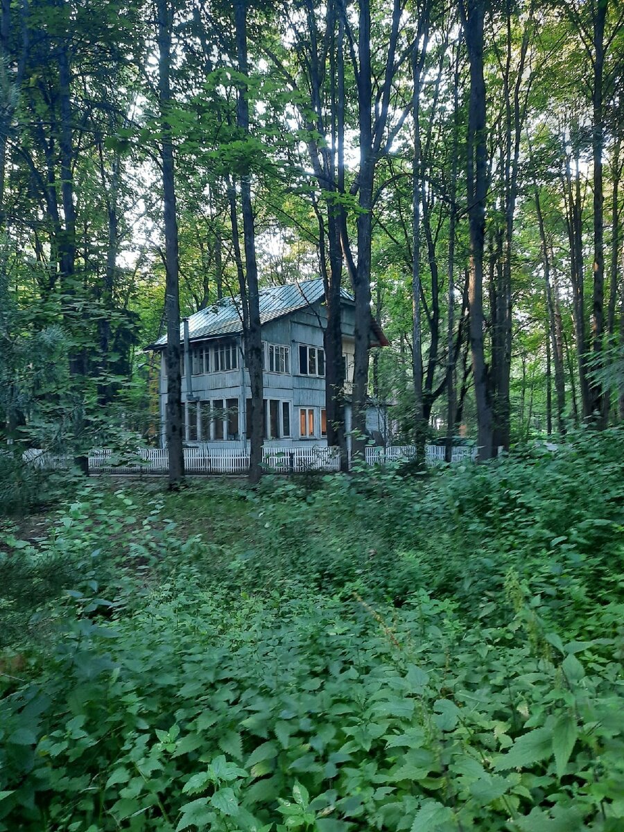 Дача в Переделкино