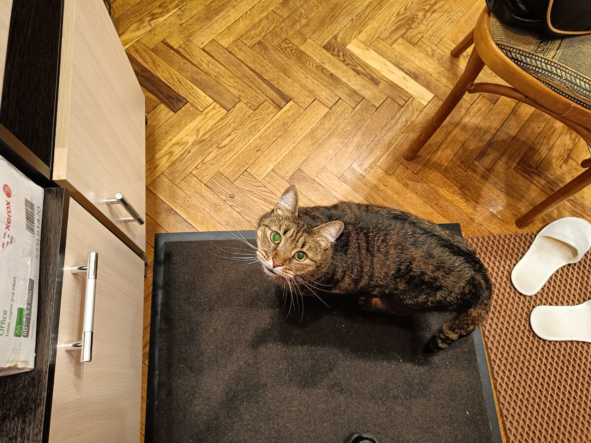 Что это ты, мать, опять задумала? Никуда я не поеду!