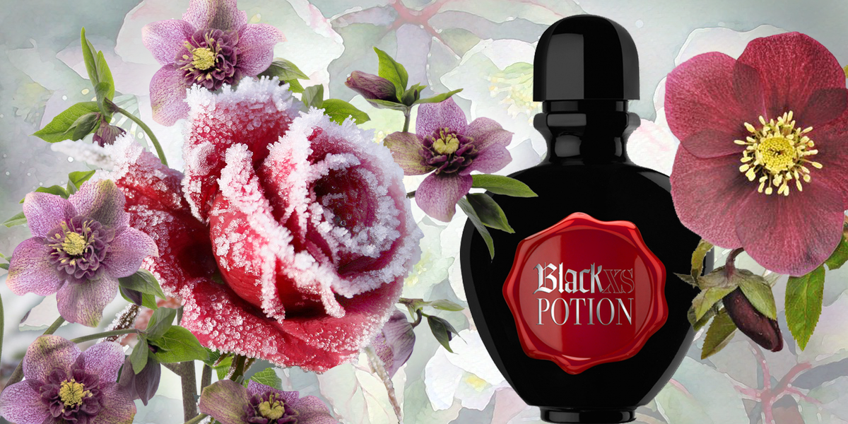 Ноты композиции: Грейпфрут ✦ Роза «Black Baccara» и Морозник чёрный ✦ Сандал и Амбра