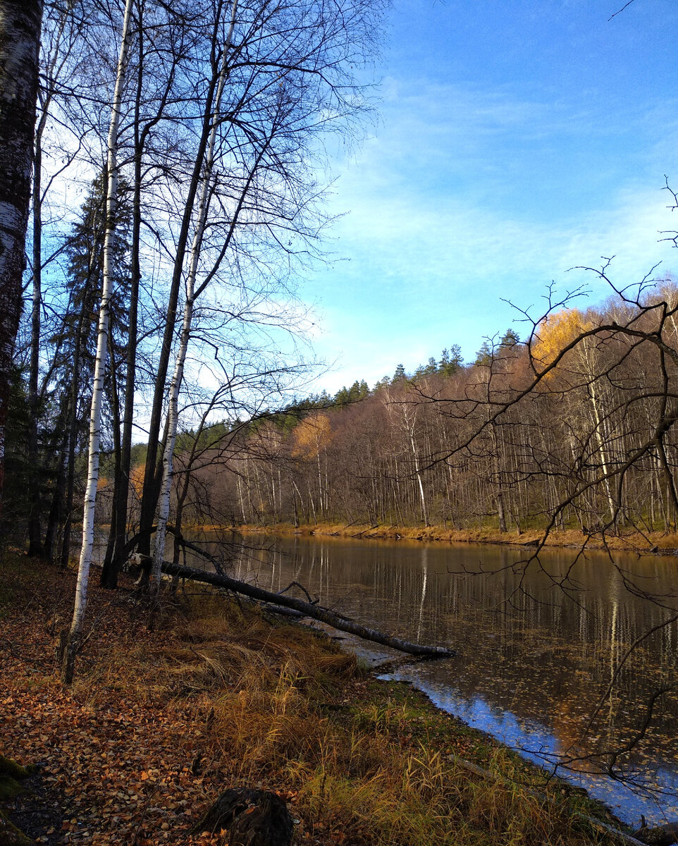 Фото их семейного архива автора канала