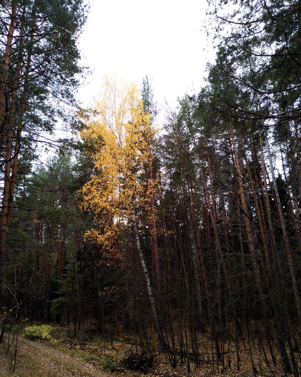 Фото из семейного архива автора канала