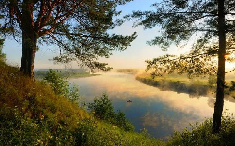 Картинка найдена на просторах интернета, ссылка https://yandex.ru/images/search?from=tabbar&img_url=https%3A%2Fi%2F.pinimg.com%2Foriginals%2Fa8%2F34%2Fа3f%2Fa83р43f85211с2879b5e7bd53274cf0591a19.jpg&lr=47&pos=15&rpt=simage&text=%D1%86%D0%B2%D0%B5%D1%82%D1%8B%20%D0%BA%D1%80%D1%83%D0%BF%D0%BD%D0%BE%20%D1%84%D0%BE%D1%82%D0%BE 