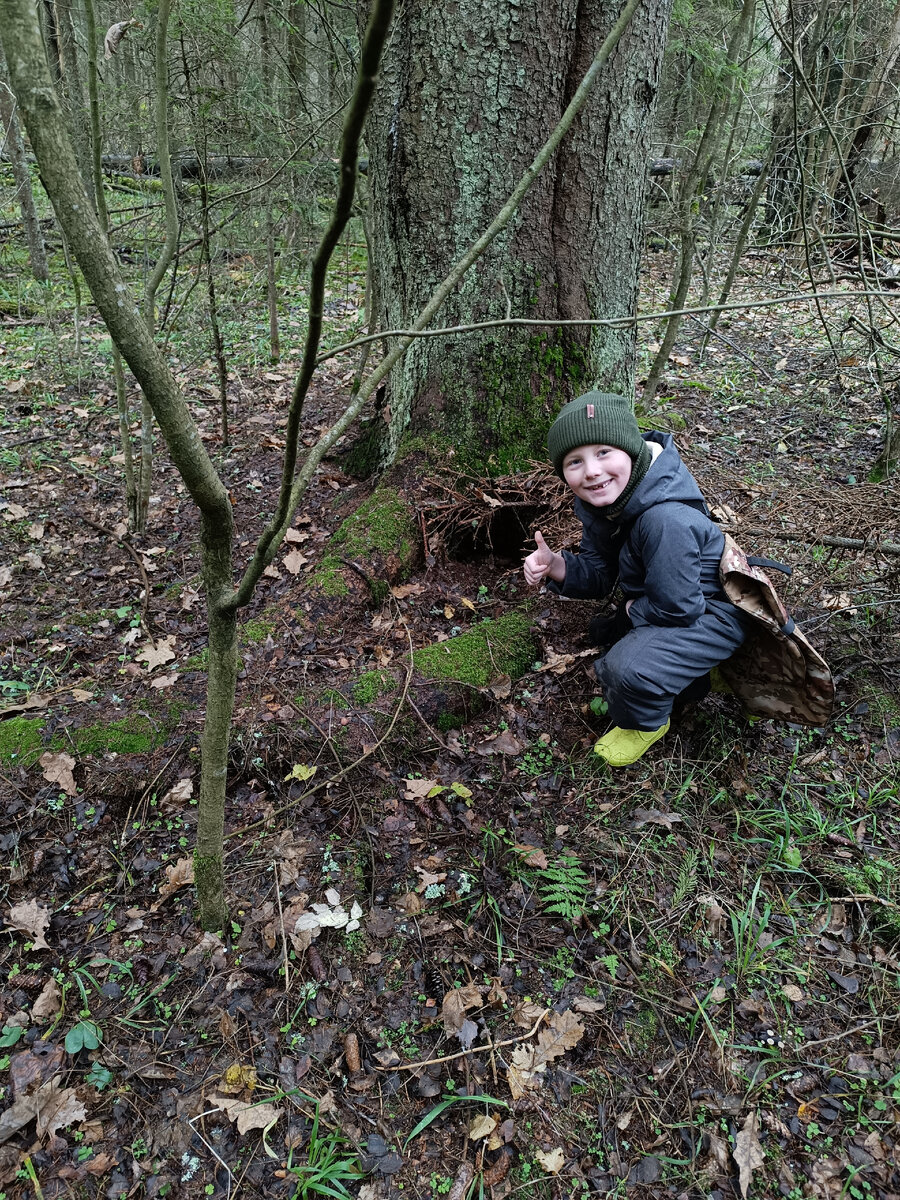 Чью-то нору...