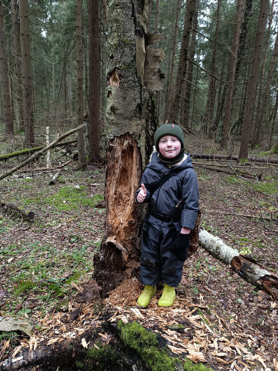 И "рабочее место" дятлов! ))