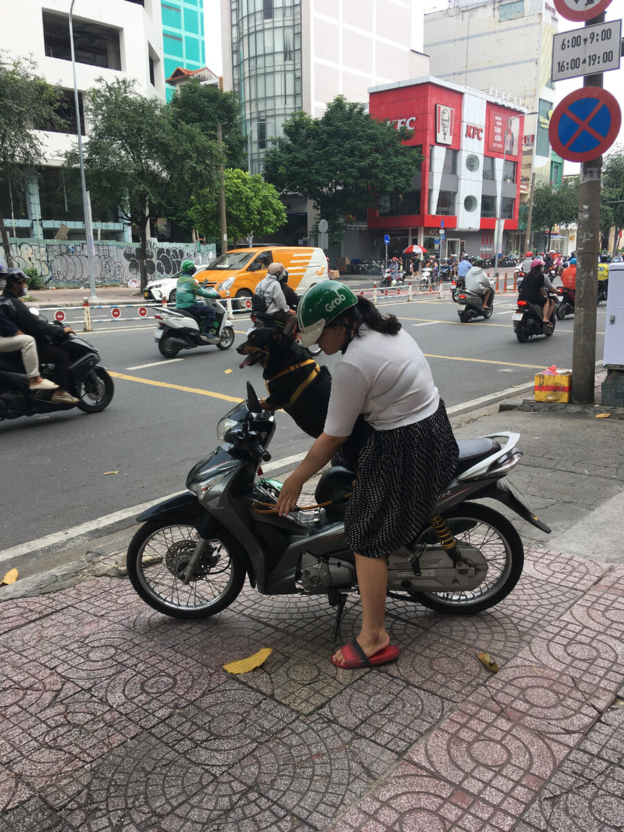 На работу с верным другом )))